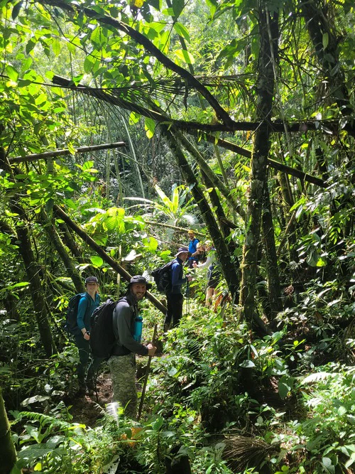 group of hikers in the jungle